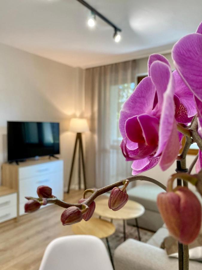 City Centre Bright & Cozy Apartment For 4 Persons Stara Sagora Exterior foto